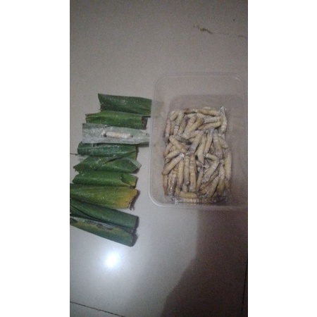 ulet/kepompong pisang