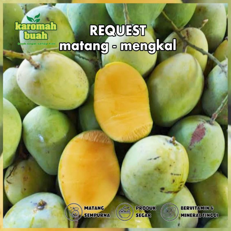 

buah mangga Indramayu 1KG / MANGGA RUJAK REQUEST MATANG / MUDA