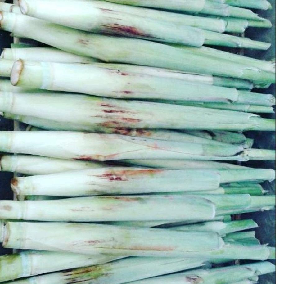 

IDb0B5n--Terubuk Trubuk Turubuk Endog Tiwu Bunga Telur Telor Tebu (minimal order 1kg)