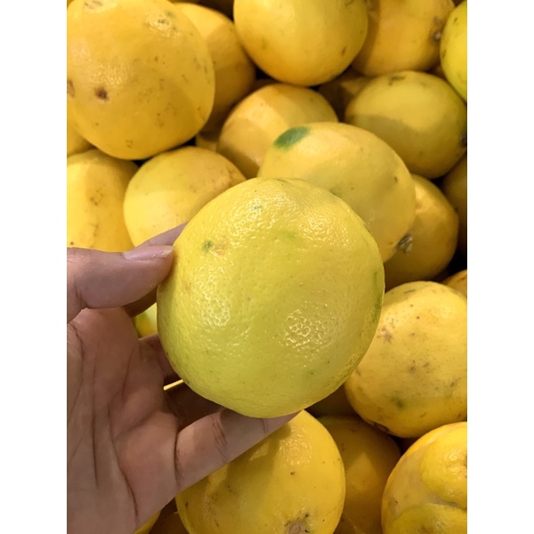 JERUK LEMON | LEMON KUALITAS PREMIUM | LEMON ( KHUSUS SAMEDAY DAN INSTAN)