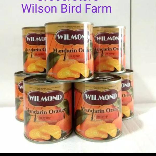 

id6c6Bq--Wilmond Mandarin Orange / Jeruk Kaleng 317 gram