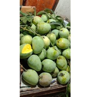 

limited Edition✔️Mangga KOPYOR TO muda mentah 1 kilogram Manis Segar Tidak begitu asem mentah fresh mangga mengkel|RA5