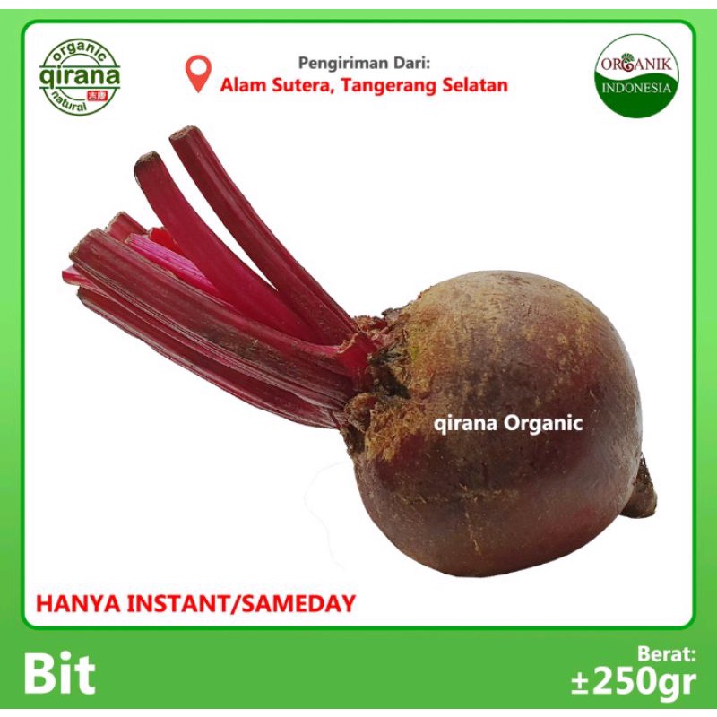 

Beet Root Organik ~500g