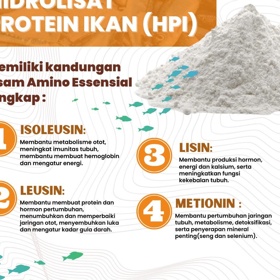 

10.10 BIG SALE FASION Forayya High Protein Cookies Sehat dengan DHA dan EPA | 5 pcs gas !!