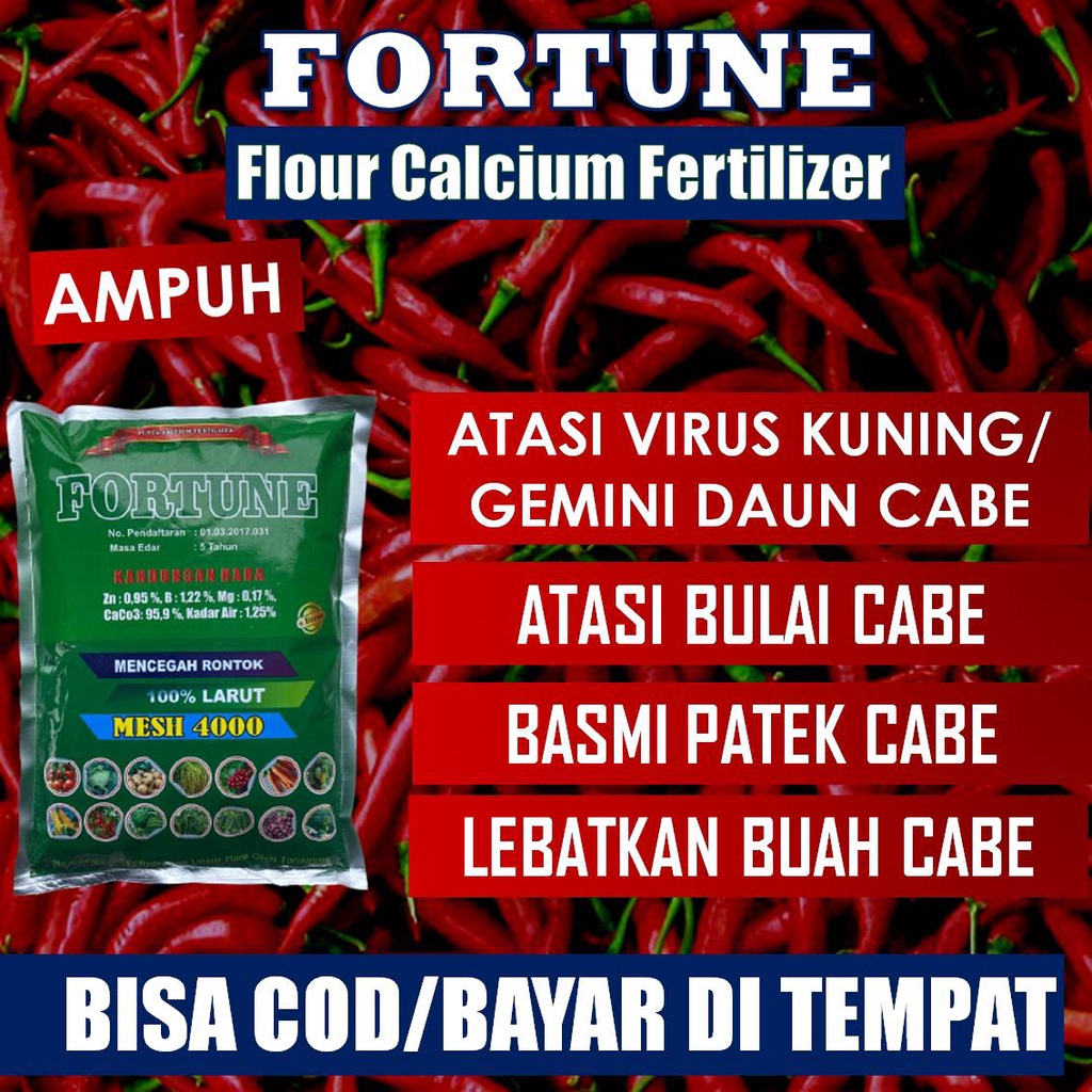 (PROMO) Pupuk Kalsium FORTUNE 1 KG - Obat Busuk Buah Cabe Kriting - Obat Busuk Buah Cabe Rawit - Oba