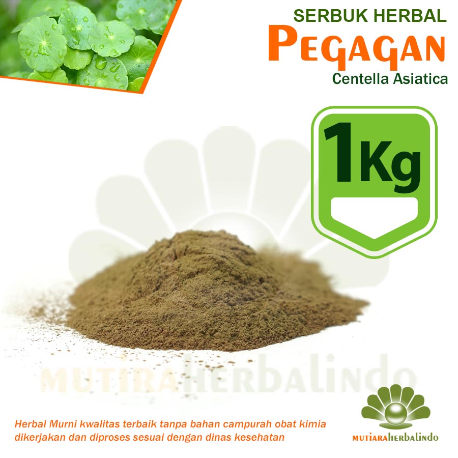 

1KG Bubuk PEGAGAN Herbal Penurun Pelancar Sirkulasi Darah Tinggi Maag