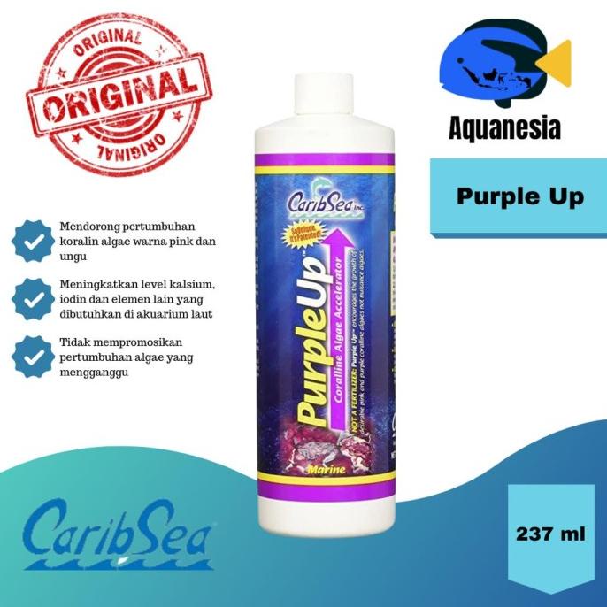 

[BISA COD] Purple Up 250 ml Carib Sea