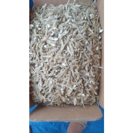 

ikan teri khas lampung