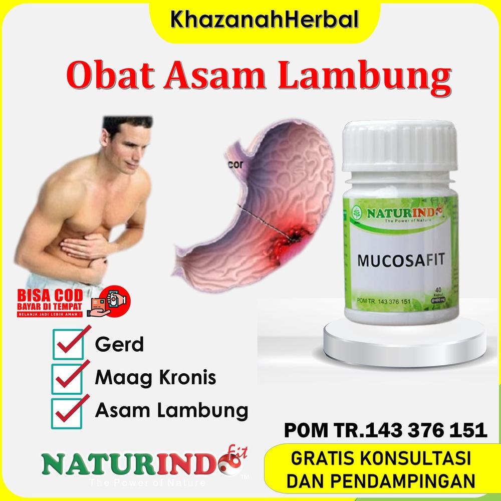 Obat Asam Lambung Herbal Ampuh Obat Asam Lambung Maag Lambung  Herbal Asam Lambung Kronis Obat Magh 