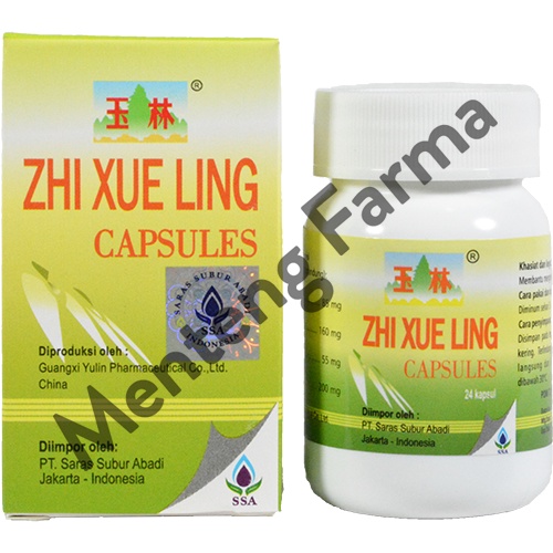 Zhi Xue Ling Capsule - Menghentikan Pendarahan Wasir / Melahirkan