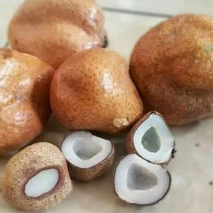 

Star buah zuriad promil 1 kg zuriad promil penyubur kandungan murah