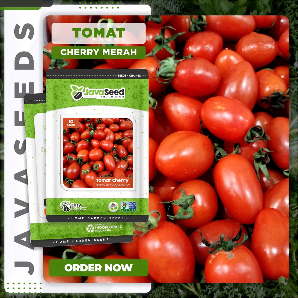 Jual Benih Tomat Cherry Tomat Mini Red Ruby Benih Shopee Indonesia