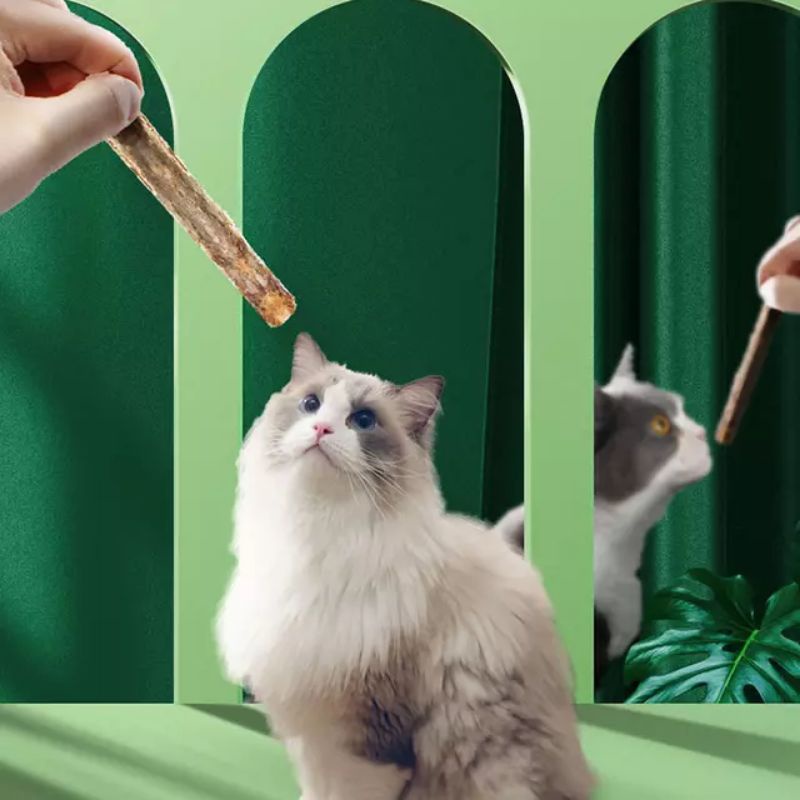 Catnip Stick Matabi | Stik Cemilan Snack Kucing Cat Kitten