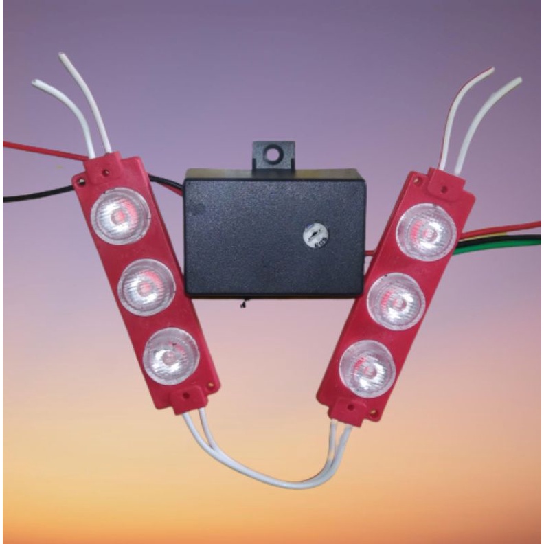 Modul Blitz Kedip Flip Flop 12V Bonus 2 lampu LED.