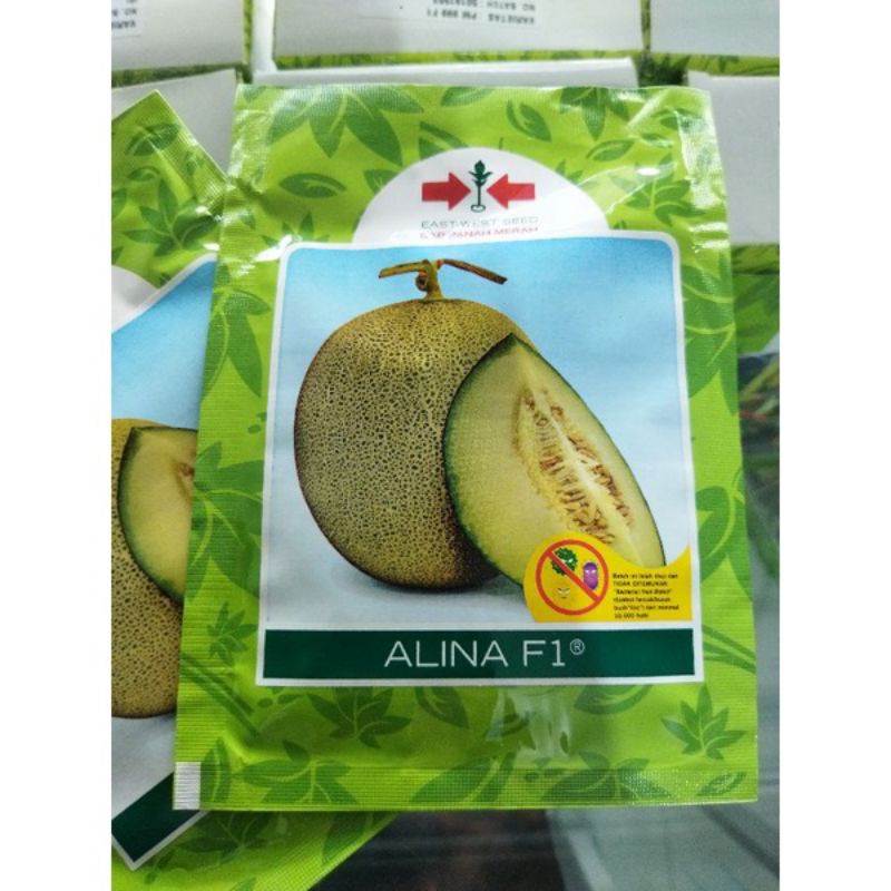 Benih bibit Melon ALINA F1 500 butir kemasan original