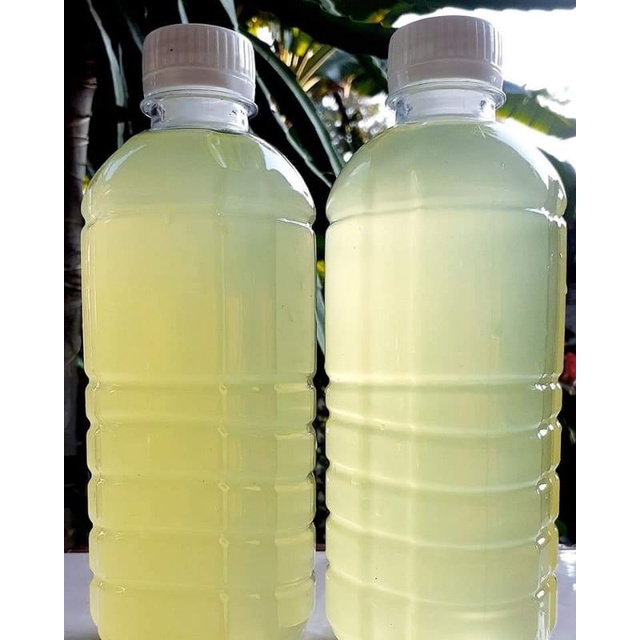 

whey susu kefir