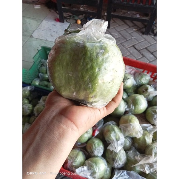 

jambu kristal fress