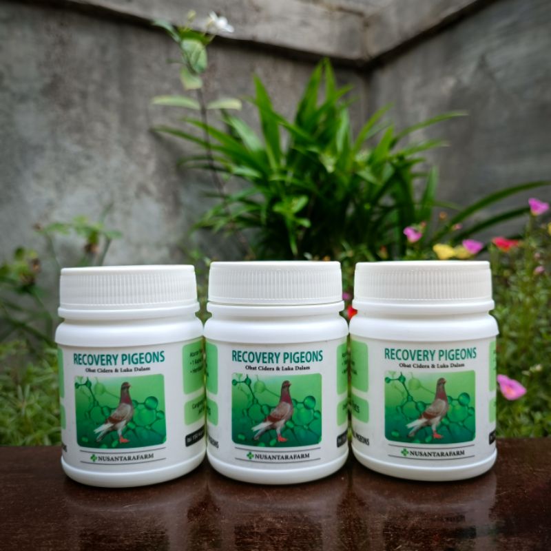 recovery pigeons 150 kapsul by nusantara farm pengobatan penyembuh luka dalam patah tulang cidera lu
