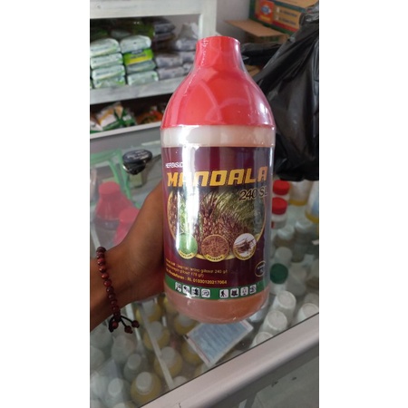 herbisida glifosat 240 sl MANDALA, obat rumput mati akar