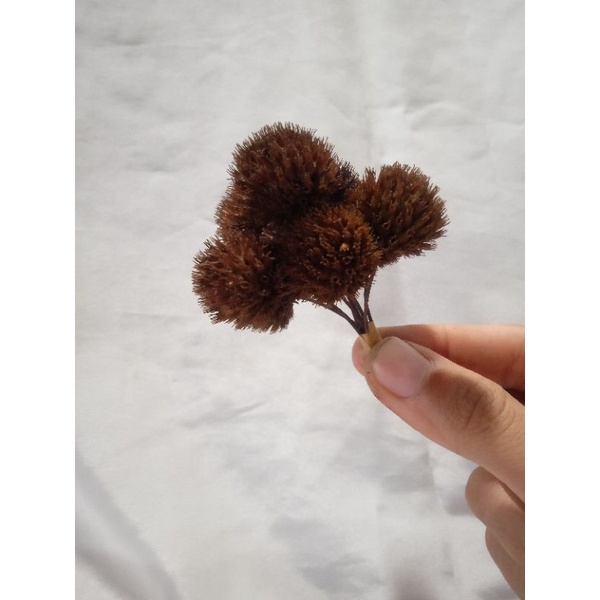 Bunga dan Rumput Kering