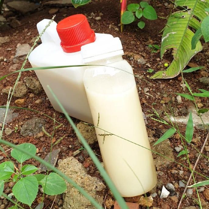 

TERBARU MADU KELANCENG PUTIH ISI BERSIH 500G PENGIRIMAN CEPAT