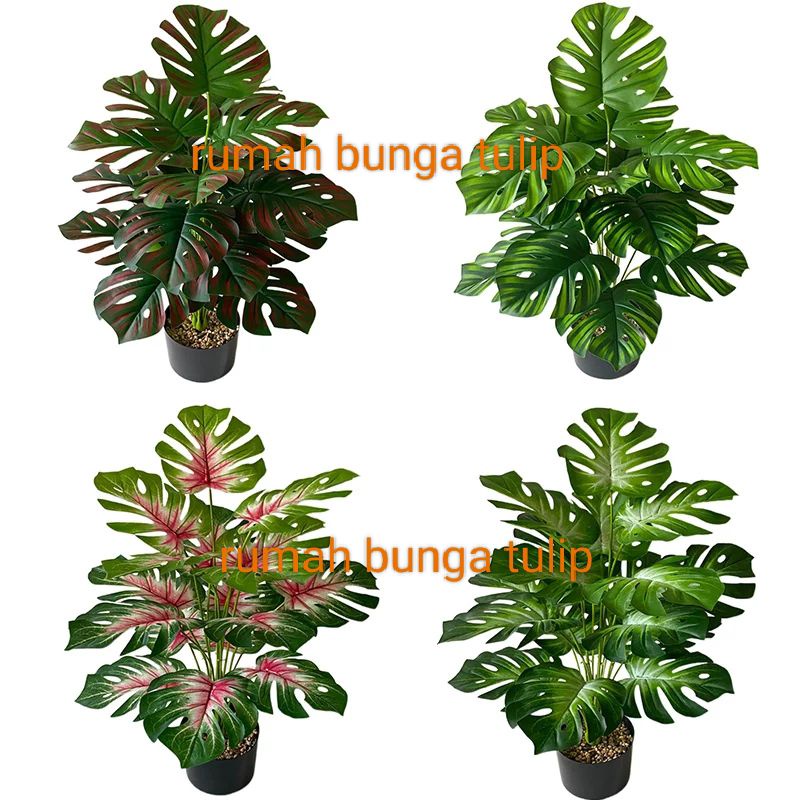 Monstera daun warna artificial