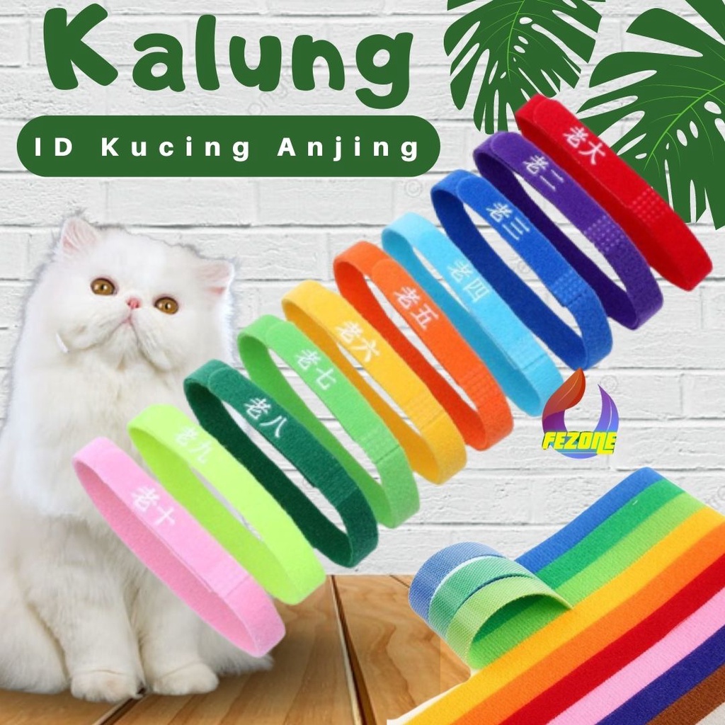 PUPPY KITTEN ID 6PCS COLLAR Kalung Penanda Anak Kucing Anjing FEZONE