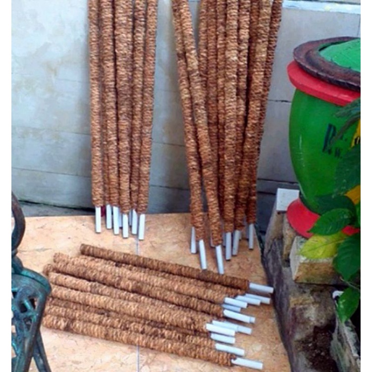 Turus Penyangga Rambatan Tanaman Bunga Aglonema Anggrek Janda Bolong Ukuran 50 cm