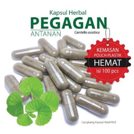 Kapsul Pegagan (Antanan) 100 Kapsul Herbal Murni Suplemen Otak & Memori