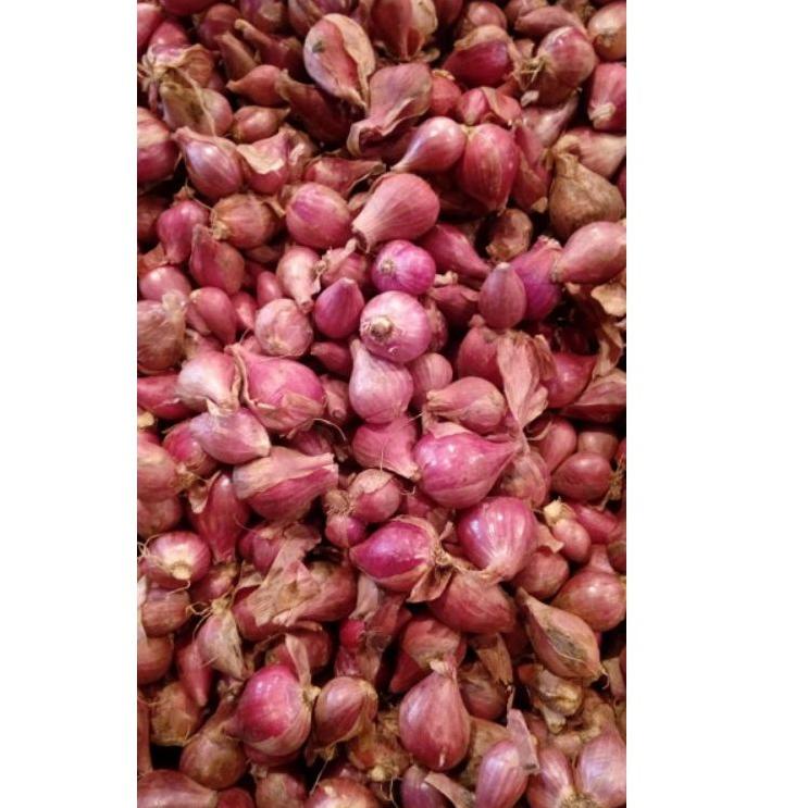 

Paling Laku--Bawang Merah Brebes Asli Ukuran Sedang / Tanggung 1kg Kering