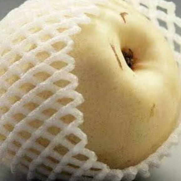 [KODE NMR] FOAM NET KECIL - FOAMNET BUNGKUS PIR BUNGKUS APEL-JARING BUAH BUSA BUAH POLINET POLYNET K