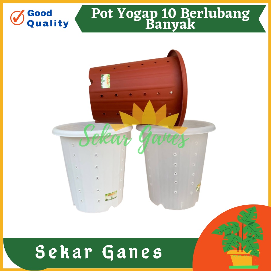 Pot Yogap 10 BERLUBANG Putih Bening Transparan Merah Bata Merah Coklat Terracota POT BUNGA YOGAP YPT 10 BERLUBANG BENING / TRANSPARAN PUTIH &amp; MERAH BATA | POT TANAMAN HIAS