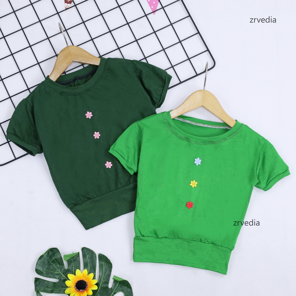 Blouse Chita Bayi uk 3-12 Bulan / Atasan T-Shirt Polos Kaos Baby Perempuan Lengan Pendek Adem