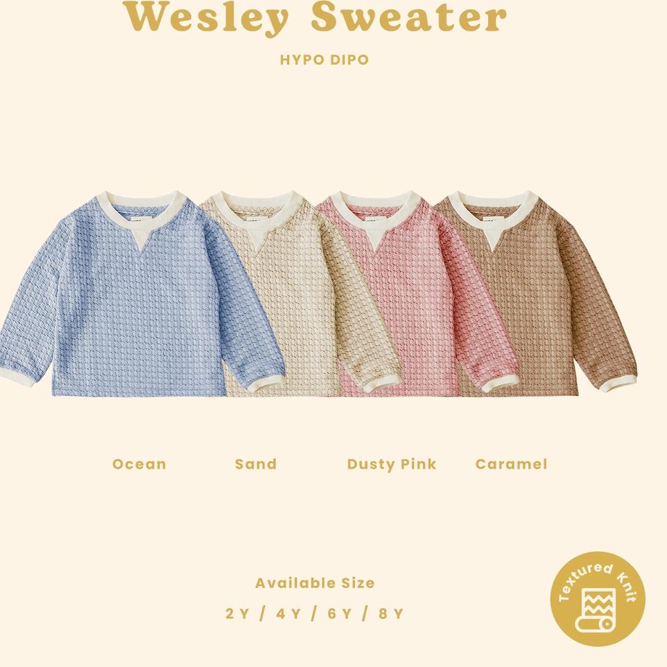 W59C Wesley Sweater by Hypo