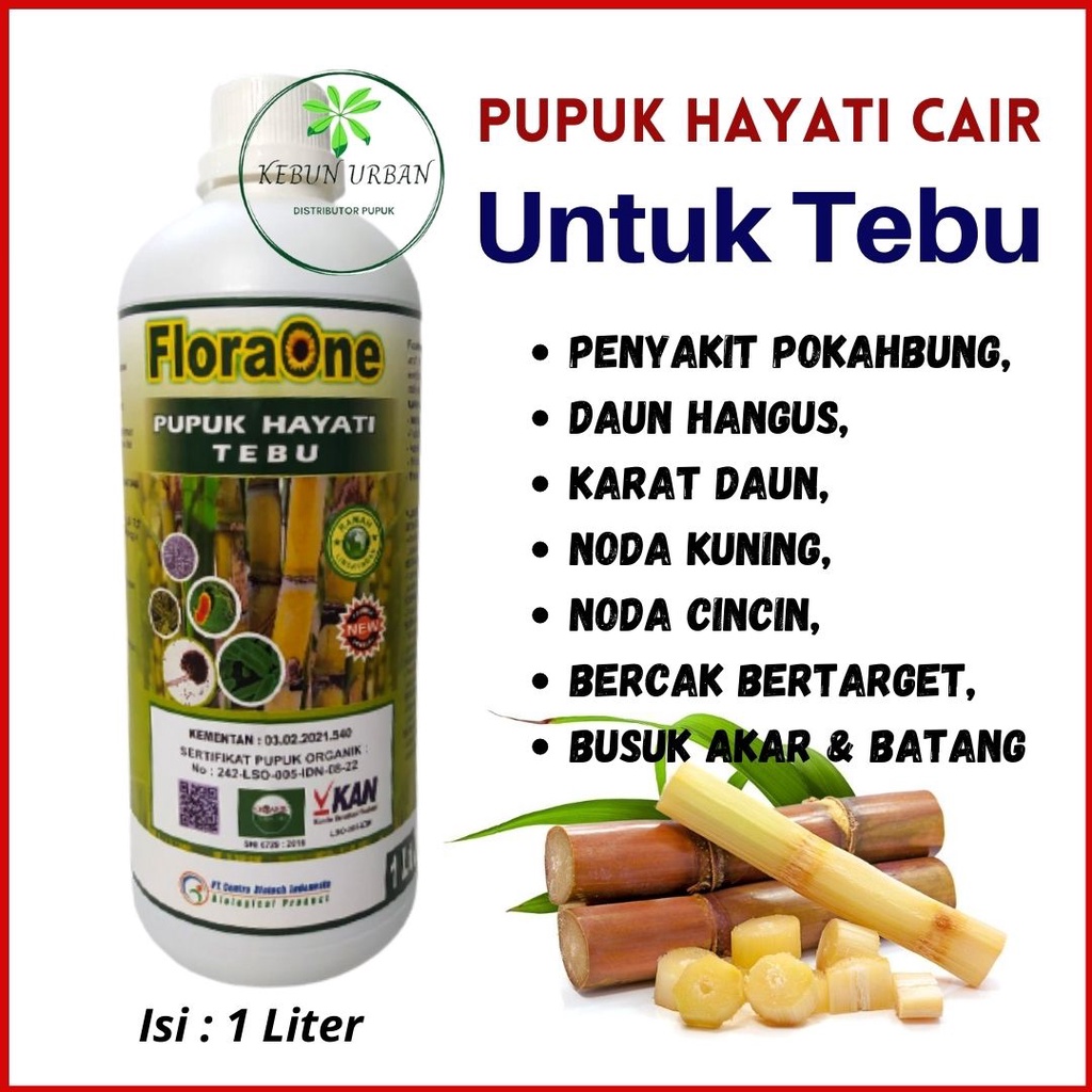 Pupuk Cair Tanaman Tebu Obat Penyakit Busuk Batang Bercak Daun, Pupuk Hayati Budidaya Tebu Biar Leba