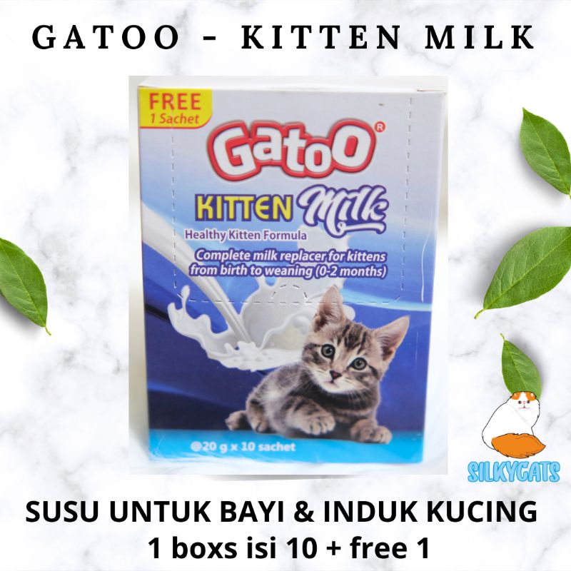 gatoo susu kucing 1 box isi 11. 20gr x 11