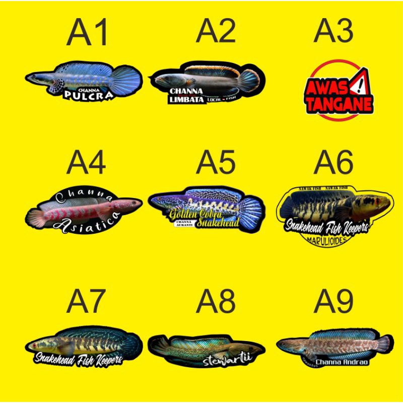 setiker chana seribuan !!! 5ribu dapat 9 pcs