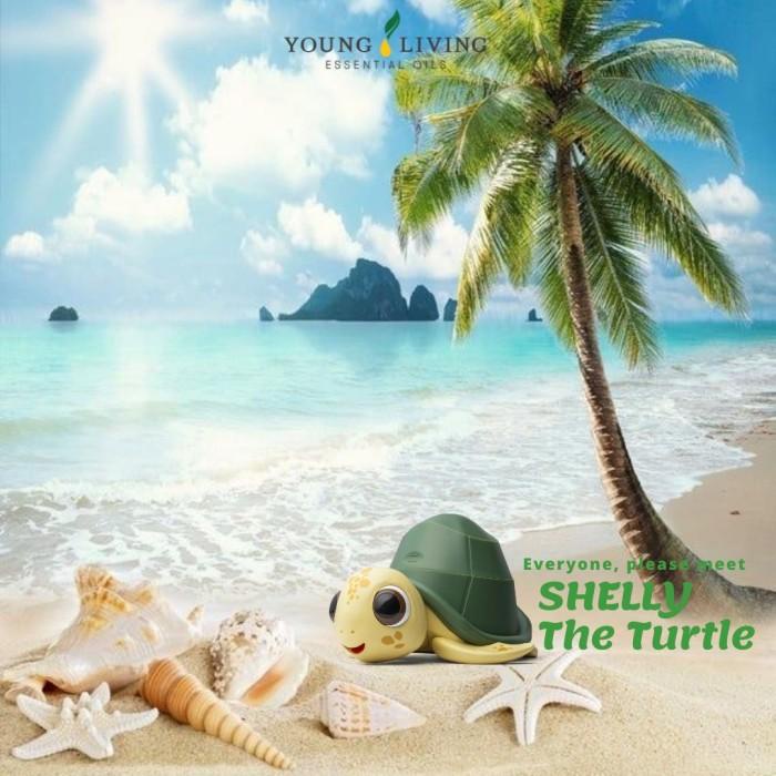 Shelly The Turtle Diffuser (Humidifier &amp; Atomizer) Original
