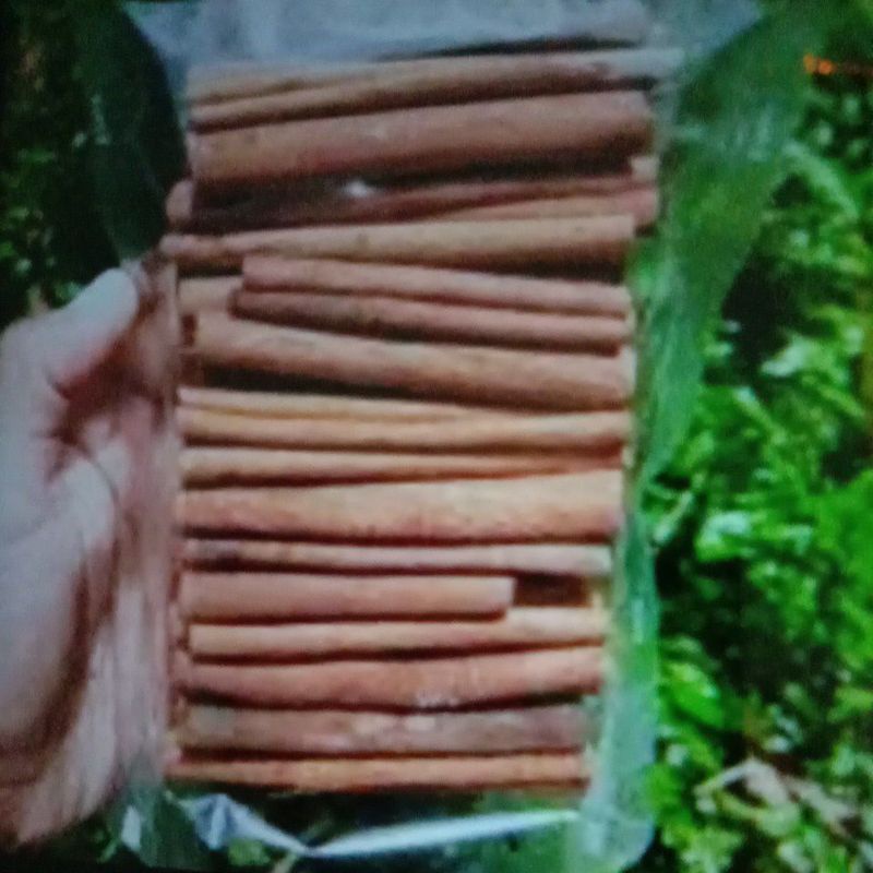 

KAYU MANIS STICK KUALITAS IMPORT GRADE A 100gr