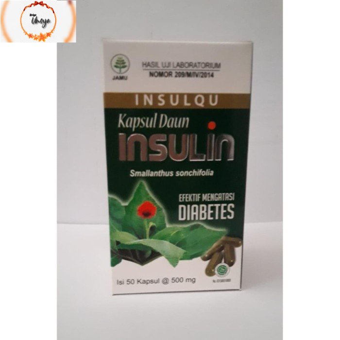 

Kapsul Daun Insulin Inayah | Efektif Mengatasi Diabetes