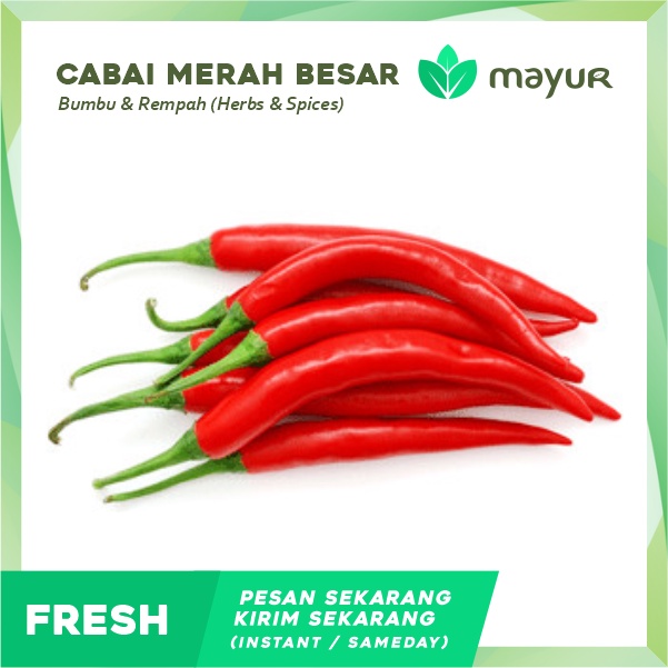 

Cabai Merah Besar / Teropong (100 gr | 200 gr | 500 gr)