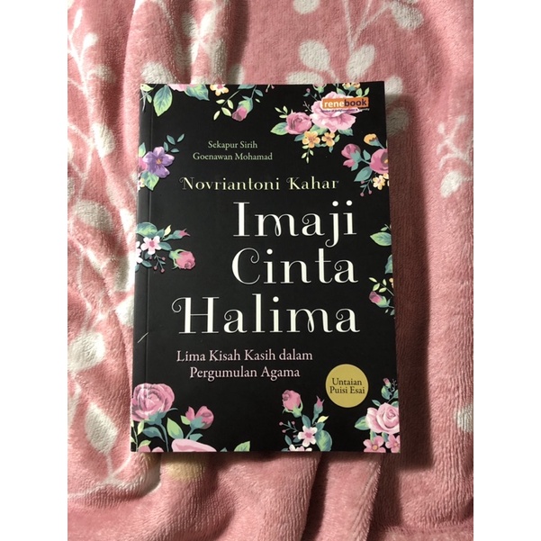 Novel Imaji Cinta Halimah preloved
