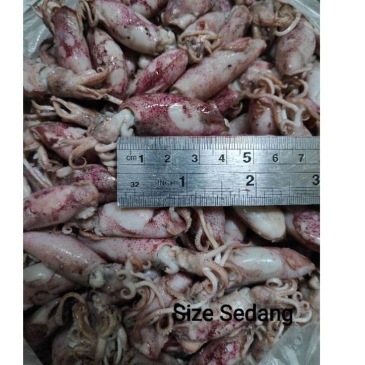 

Top Product--Sotong / Cumi / Cumi Asin / Cumi Rebus 500 Gram Size Jumbo|Sedang|Baby