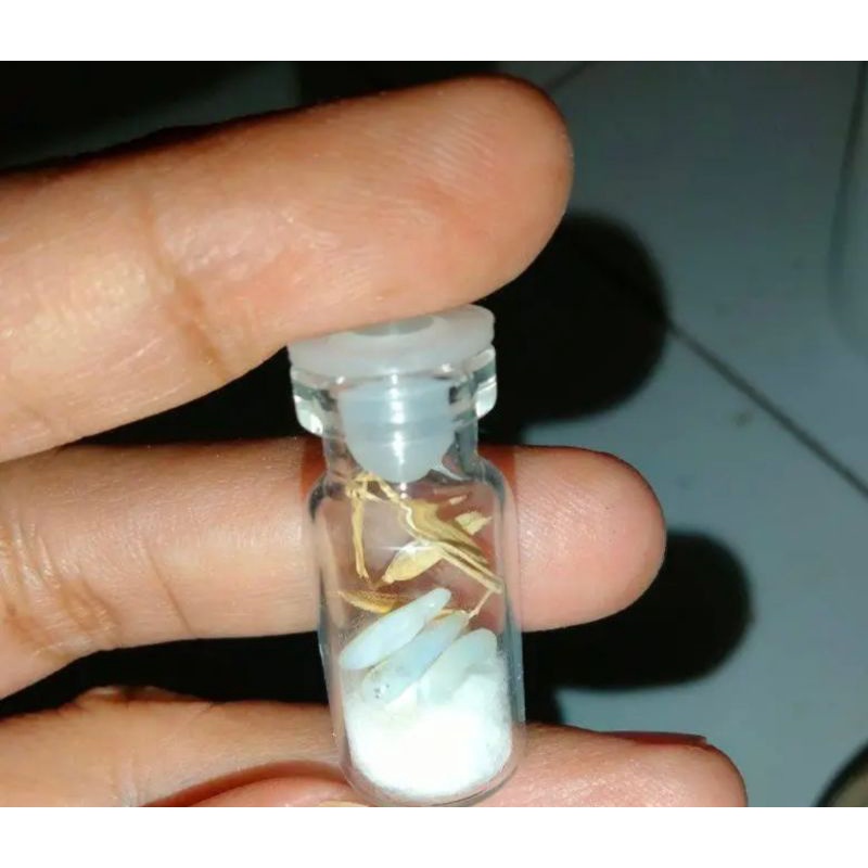 batu fosil beras / mustika beras