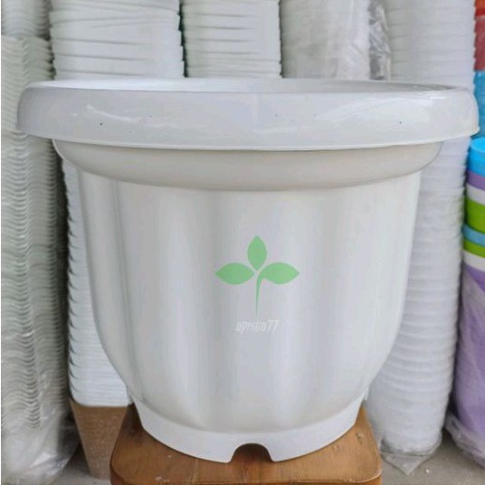 POT BESAR 50 | POT BUNGA JUMBO