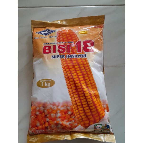 BENIH JAGUNG BISI 18