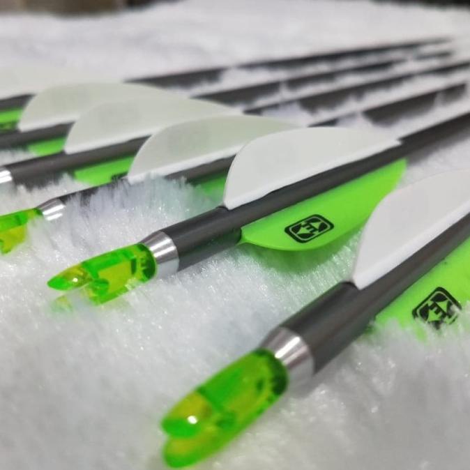 Arrow Easton Platinum Terpasang 6pcs