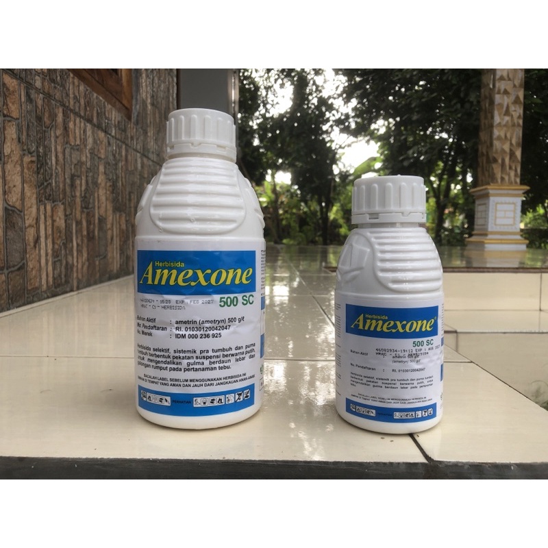 Amexone 500SC