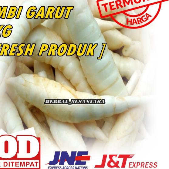 

TERLARIS BRANDS FESTIVAL [ Readystock ] 1Kg Ubi Garut Segar murah