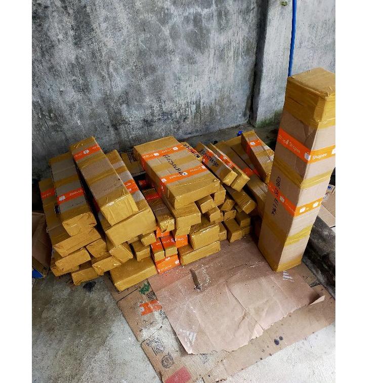 BIBIT BONSAI FICUS BERINGIN ELEGAN –LQS.18Oc22х